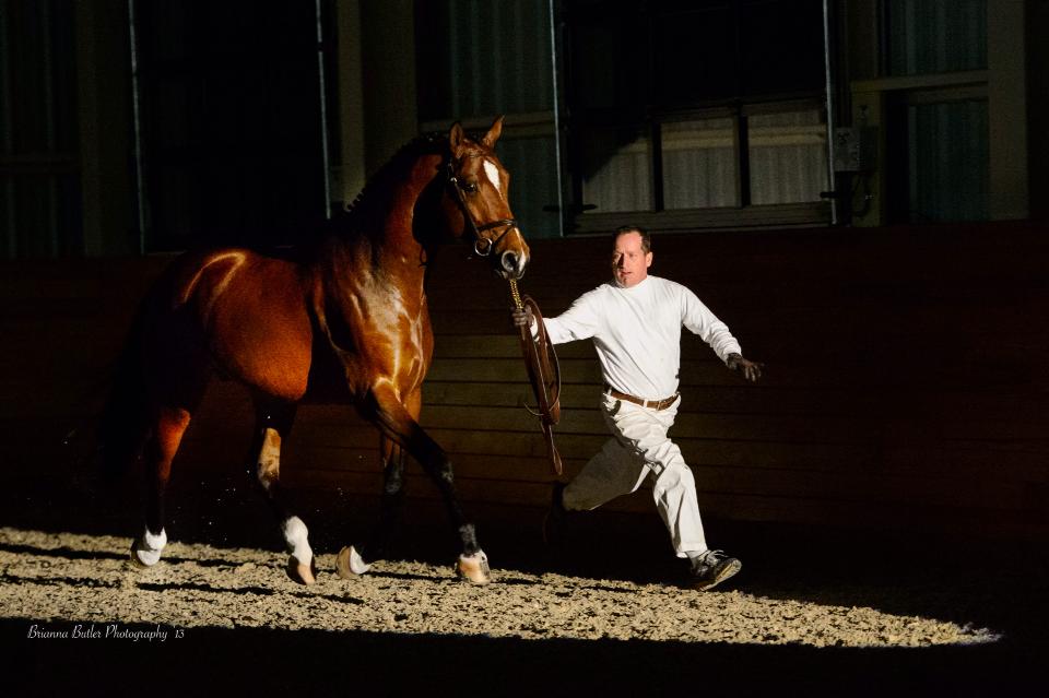 Iago at YHS stallion showcase w Sterling Grayburn